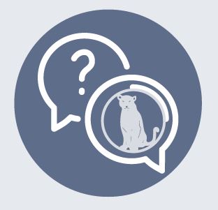 Icon mit Sprechblasen, eine mit Fragezeichen, eine mit Panther-Logo