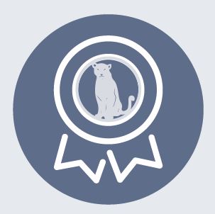 Icon mit einer Medaillie mit Panther-Logo
